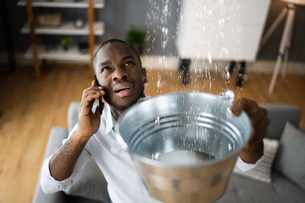 Best Emergency water damage restoration  in Palatine, IL