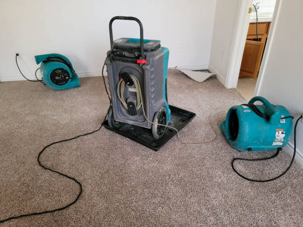 Best Flood restoration services  in Palatine, IL