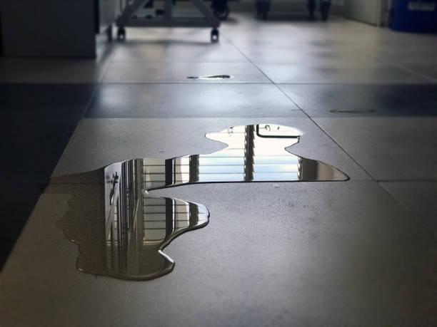 Best Water damage mitigation services  in Palatine, IL