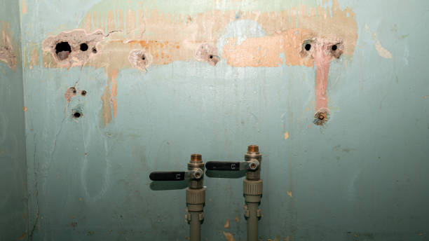 Best Emergency water extraction  in Palatine, IL